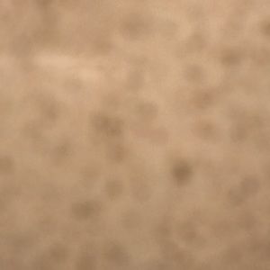 Meet your Posher, Mari